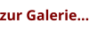 zur Galerie…