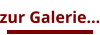 zur Galerie…